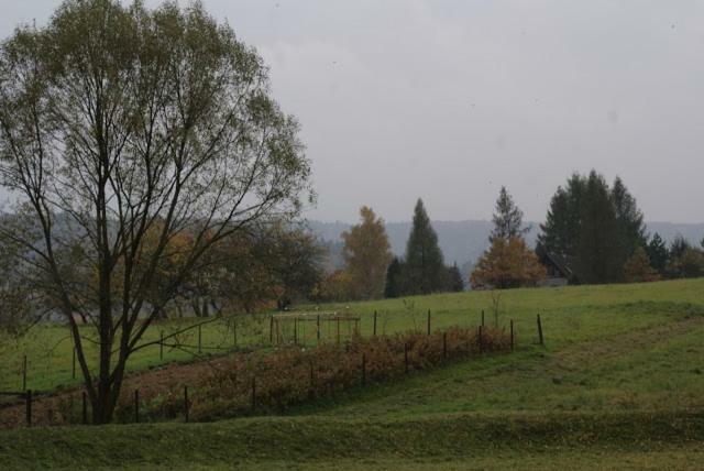 Agroturystyka U Maciejowej Villa Lanckorona Exterior foto