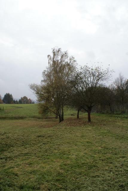 Agroturystyka U Maciejowej Villa Lanckorona Exterior foto